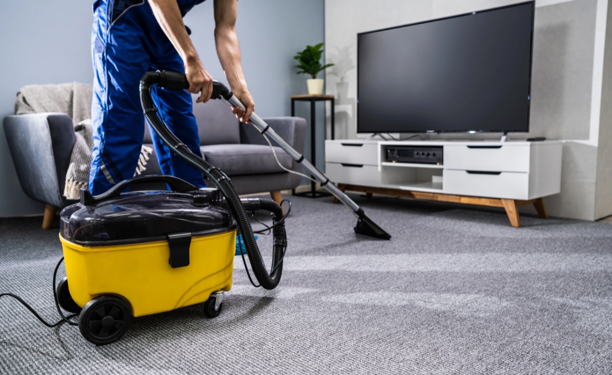 Extract Carpet Cleaning Fingal Contact Office